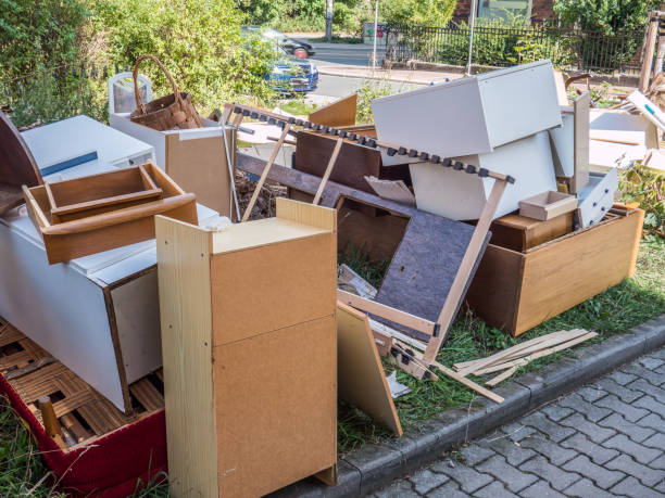 Best Electronics and E-Waste Disposal  in Baudette, MN